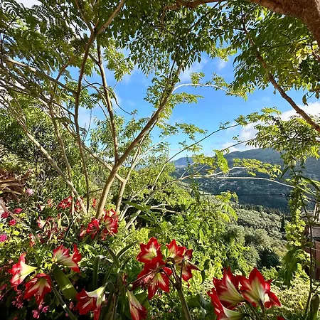 Daire Horizon Blue *