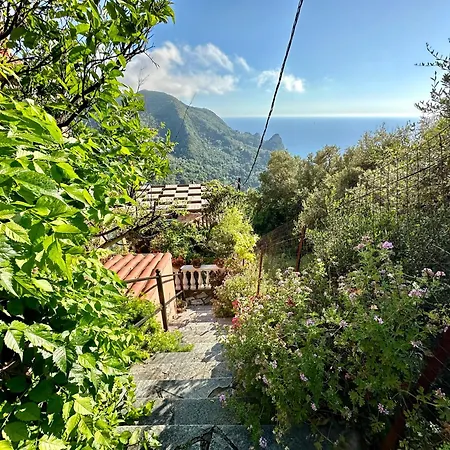 Horizon Blue * Áno Garoúna